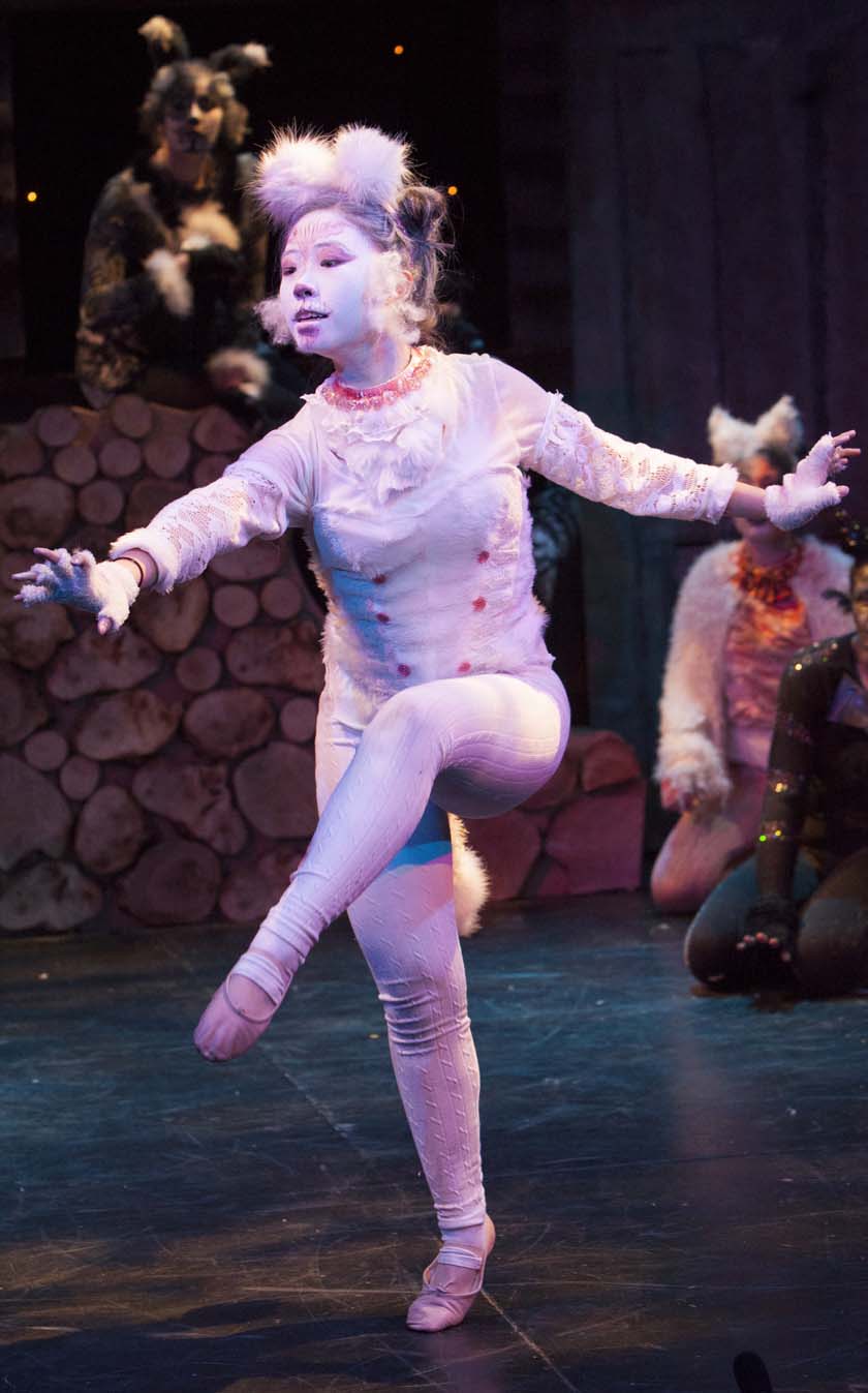 Drama - CATS